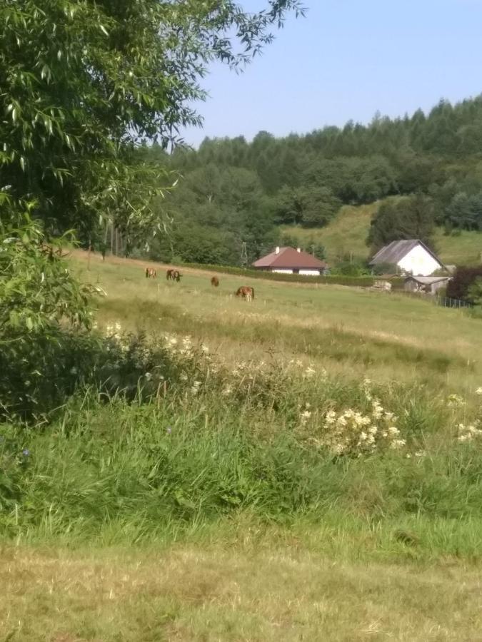 Altana Caloroczna Vira Numer 7 Herbergerowka Agroturystyka Na Wsi Duszniki Zdrój 外观 照片