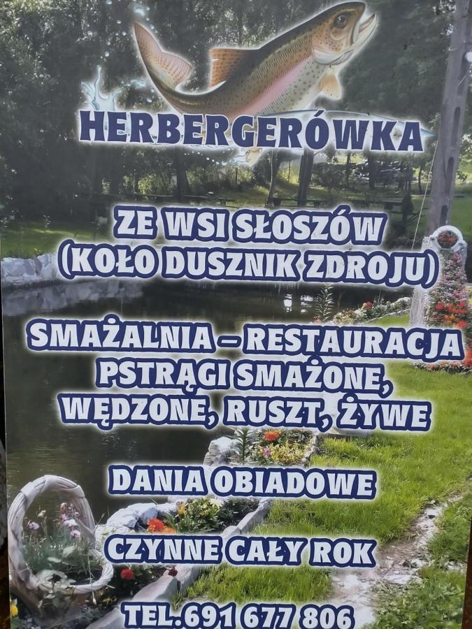 Altana Caloroczna Vira Numer 7 Herbergerowka Agroturystyka Na Wsi Duszniki Zdrój 外观 照片